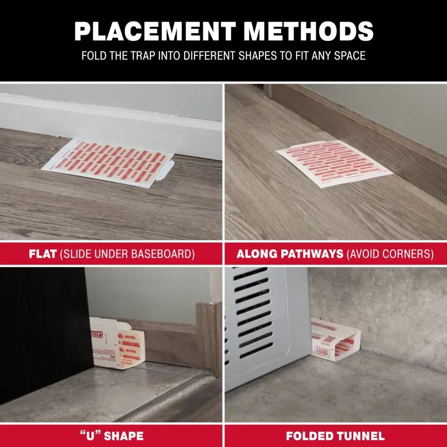 Patterned Baited Glue Boards