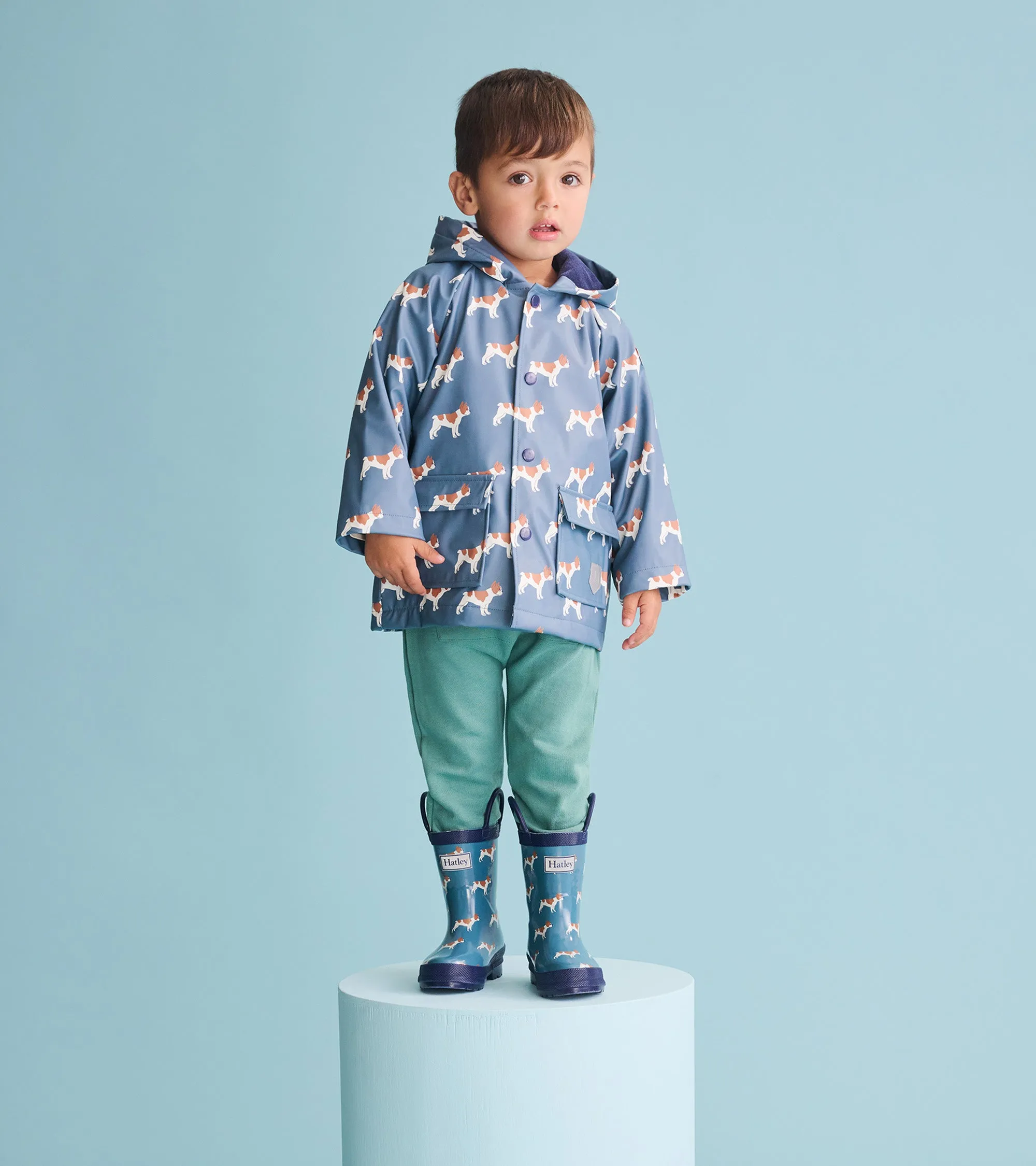Toddler Boys French Bulldogs Wellies